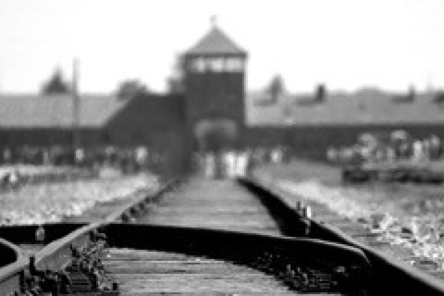 La deportazione dal Parmense ai campi di concentramento del III Reich.